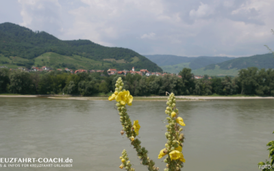 Flusskreuzfahrt – Donaukreuzfahrt 07-2020