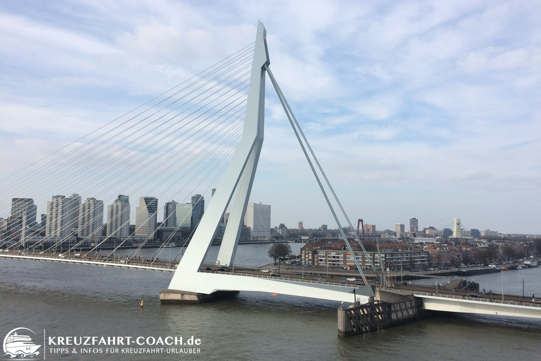 Rotterdam Erasmusbrücke Rotterdam auf eigene Faust - Die Erasmusbrücke