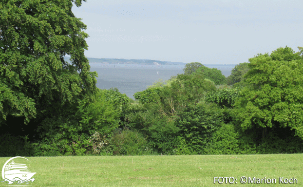 Park vom Schloss Marselisborg Ausflugstipps Aarhus - Park vom Schloss Marselisborg