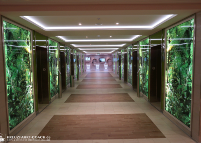 aidanova aufzuege 01 1500px